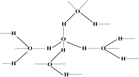 Uploaded image